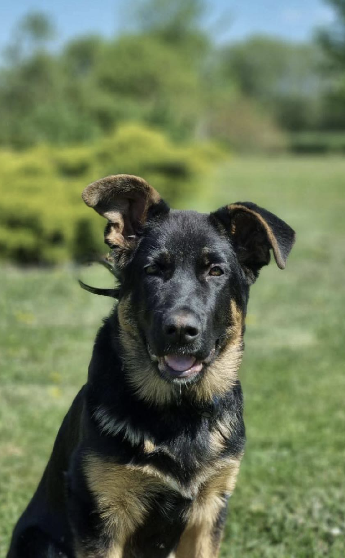 Cooper